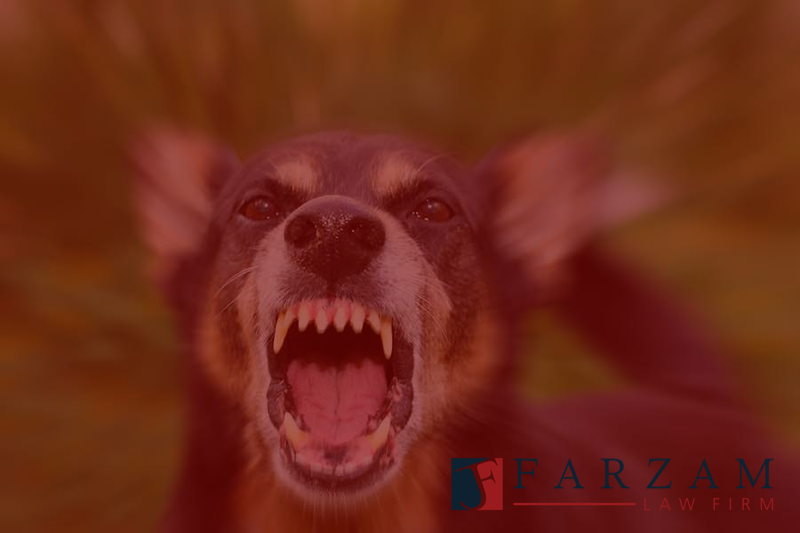 dog bite lawyer california